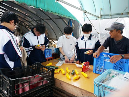 笠間民家体験｜教育旅行