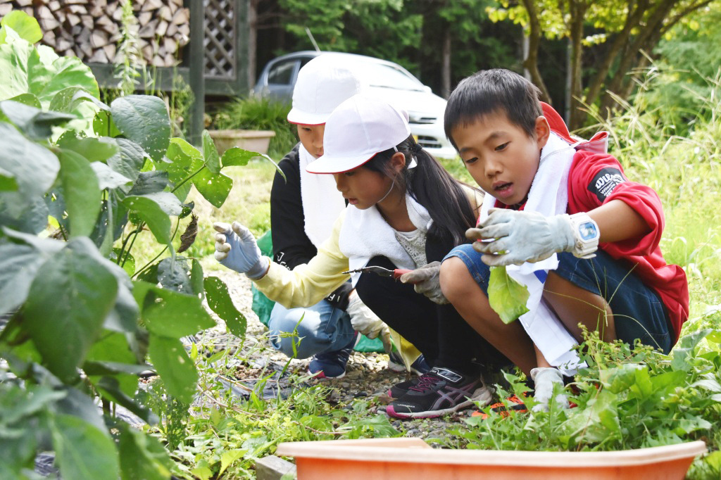 教育旅行｜日本｜笠間民宿