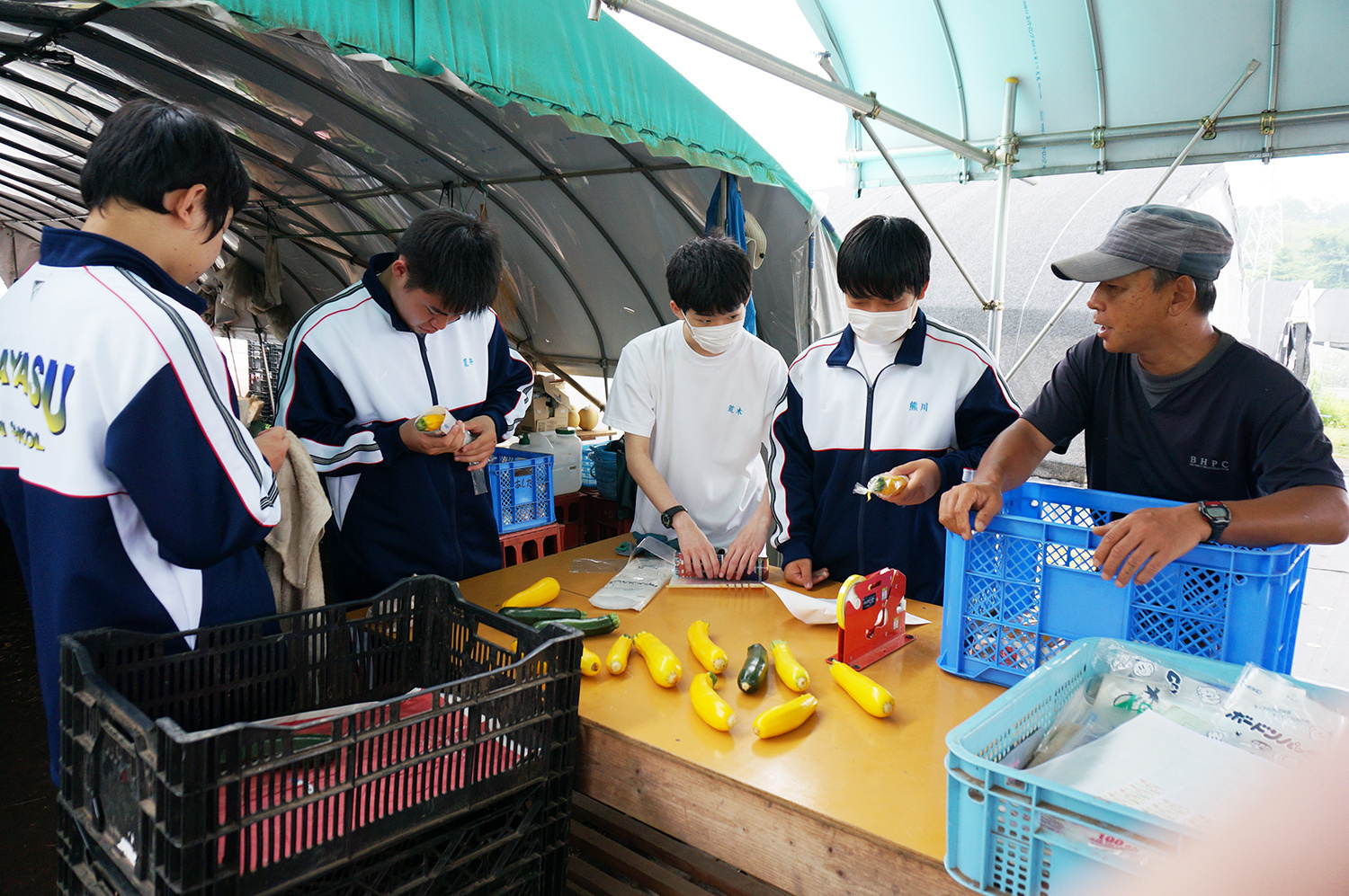 教育旅行｜日本｜笠間民宿