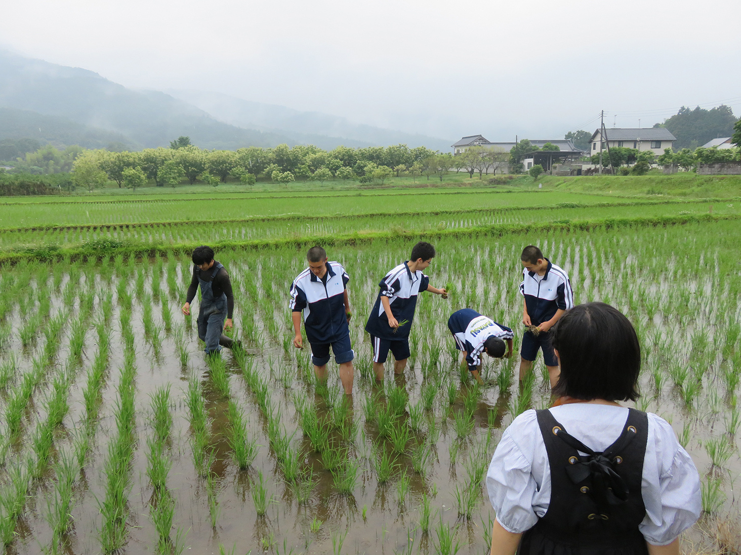 教育旅行｜日本｜笠間民宿